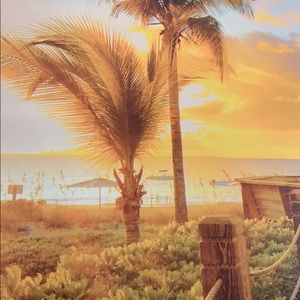 Meet your Posher, Lizeth